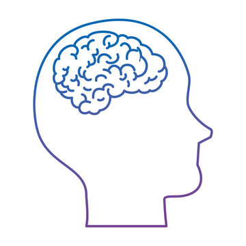 human profile with brain vector illustration design