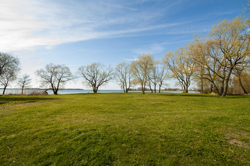 Early spring nature