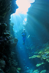 Scuba Diver in Sunbeams.
