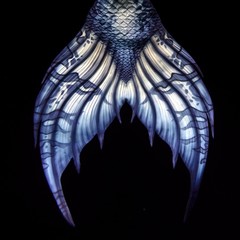 Mermaid tail fluke, blue, on black background, underwater 