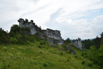 Rock formation in Krakow Czestochowa Upload. Polish Jurassic Highland. - obrazy, fototapety, plakaty