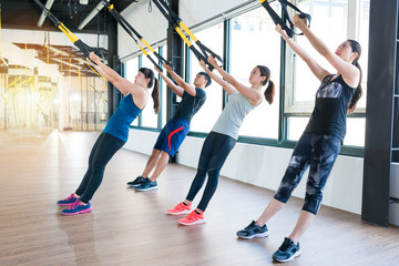 group of fitness TRX suspension straps training