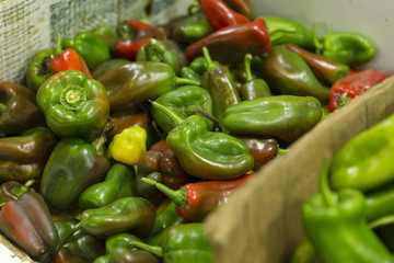 Fruit and vegetable market.