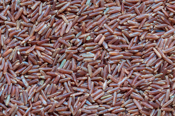 Red coral jasmine rice