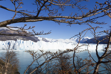 Perito Moreno Glacier near El Calafate In Argentina.