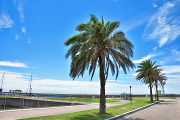 Fototapeta premium マリンピア神戸と明石海峡大橋
