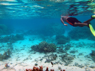 Sealife of Mystery Island, Aneityum, Vanuatu