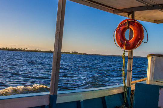 View from inside a boat with the river and coconut trees in the back - beautiful and peacefull view on the Sao Francisco River one of the most important river in Brazil    