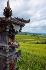 Jatiluwih, a UNESCO heritage rice fields in Bali, Indonesia