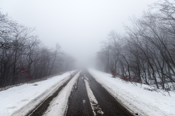 Fototapeta na wymiar Road in foggy snowy forest