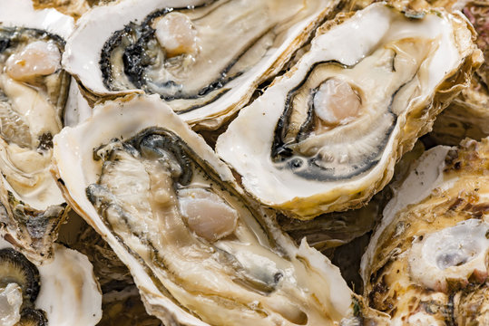 新鮮で美味しい生牡蠣