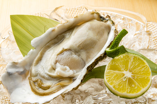 新鮮で美味しい生牡蠣