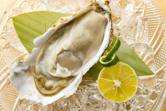新鮮で美味しい生牡蠣