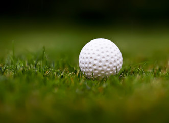 golf ball on sports golf course close-up, morning dew on grass in summer, on blurred background