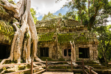 Ruins of Ta Prohm temple near Siem Reap in Cambodia