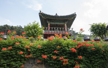 능소화가 핀 만연사 풍경