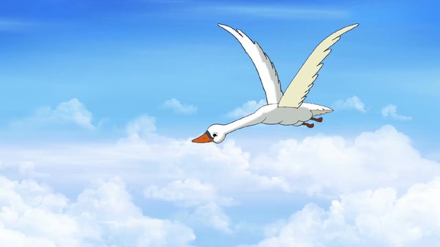 Swan Flies in the Cloudy Sky