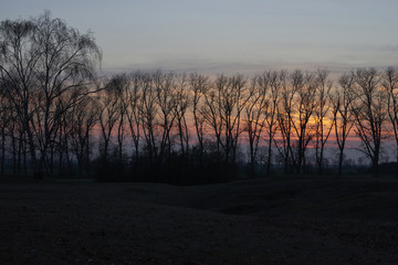 NSG Sulzheimer Gipshügel, Landkreis Schweinfurt, Unterfranken, Bayern, Deutschland