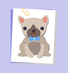 Dog Picture Pug and Bow Poster Vector Illustration