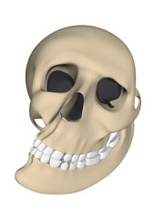 Cartoon Skull