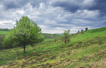 Fleecedeken met foto Springtime.Sad spring landscape.Lonely growing blooming apple tree on a background of dark storm clouds.Cloudy  morning.Dramatic overcast sky.  © valeriy boyarskiy