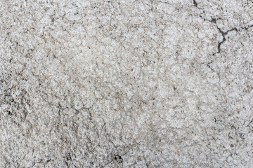Grunge cement texture background . Gray color . Abstract concept
