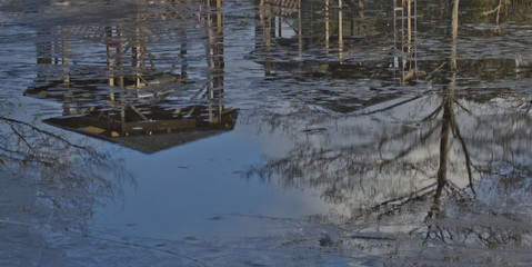 Porch and tree reflections in water
