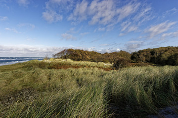 Lichtstimmung am Abend am Darßer Weststrand