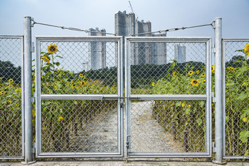 Forbidden areas