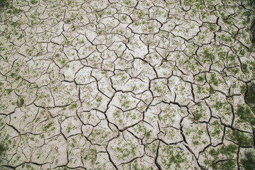 Various forms of land torn by drought
