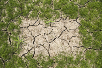 Various forms of land torn by drought