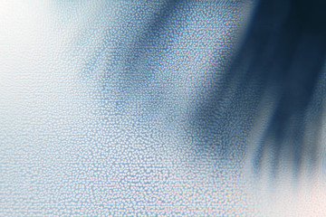 The rime on the glass with shaggy shade