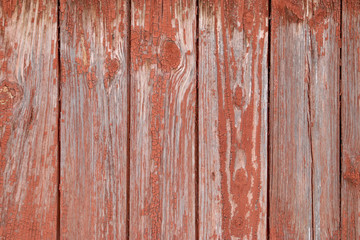 Old painted wood texture. Vintage wood background. For design solutions, interior, advertising, presentation, background, label, web, screens. Trendy effect. Copy for writing space.