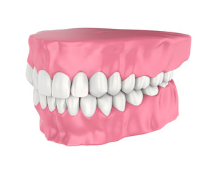 Mouth Gum and Teeth Isolated