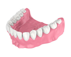 Mouth Gum and Teeth Isolated