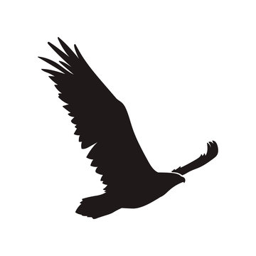 recommend clip art: eagle silhouette vector