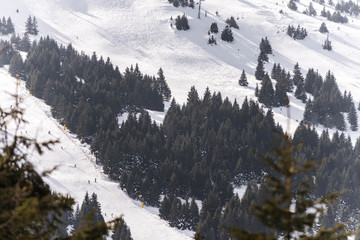 ski run at mountain ski center
