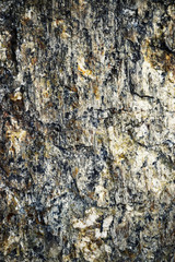 abstract texture pink surface mist