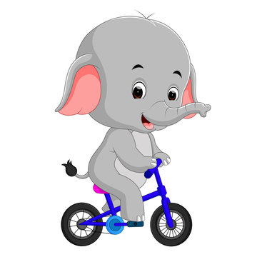 cute happy elephant cycling
