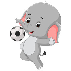 funny elephant cartoon with ball