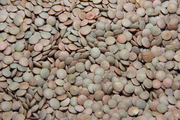 lentils large green loose in texture with a rough surface closeup