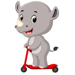 cute rhino riding push scooter