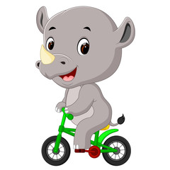 cute happy rhino cycling