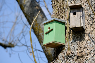 nichoir nature arbre bois nid animaux oiseaux