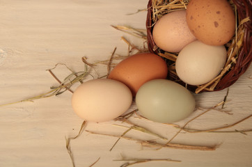 hühnereier im eierkorb bio