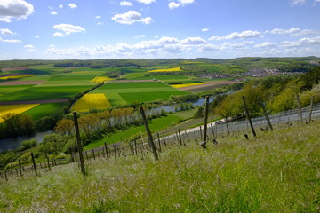 Fototapeta premium Landschaft und Weinberge bei Stetten, Landkreis Main-Spessart, Unterfranken, Bayern, Deutschland