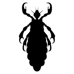 Vector image of silhouette of lice