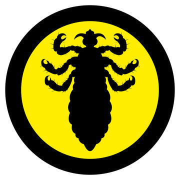 Vector image of silhouette of lice