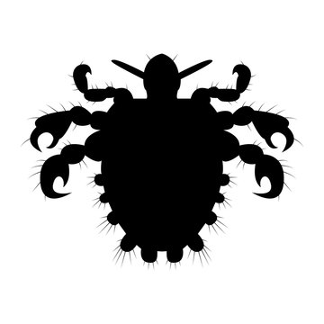 black louse silhouette on white background clip art preview
