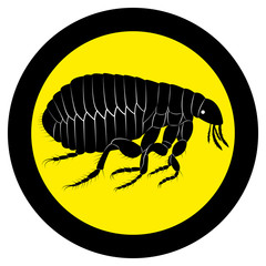 Vector image of flea silhouette